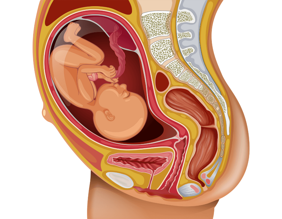 According to each mother's needs, we provide personalized treatment plans to ensure that each experience meets your expectations, making you feel satisfied and comfortable. personalized service Our service CosyCozy provides postpartum recovery and body massage one-stop service
CosyCozy deeply understands the difficulties and expectations of every postpartum mother. We focus on providing warm postpartum recovery services, accompanying you with professionalism and care through this special journey.
CosyCozy.Massage is a secret healing base exclusive to women · From core warmth recovery
We awaken the body's self-healing power with the gentle science of our fingertips
── In the embrace of warm light and essential oils, we accompany you  
▸ Say goodbye to the entanglement of menstrual discomfort  
▸ Release the tension accumulated from sitting for long periods  
▸ Rediscover the comfort that spreads from the core throughout the body According to each mother's needs, we provide personalized treatment plans to ensure that each experience meets your expectations, making you feel satisfied and comfortable. personalized service Our service CosyCozy provides postpartum recovery and body massage one-stop service
CosyCozy deeply understands the difficulties and expectations of every postpartum mother. We focus on providing warm postpartum recovery services, accompanying you with professionalism and care through this special journey.
CosyCozy.Massage is a secret healing base exclusive to women · From core warmth recovery
We awaken the body's self-healing power with the gentle science of our fingertips
── In the embrace of warm light and essential oils, we accompany you  
▸ Say goodbye to the entanglement of menstrual discomfort  
▸ Release the tension accumulated from sitting for long periods  
▸ Rediscover the comfort that spreads from the core throughout the body