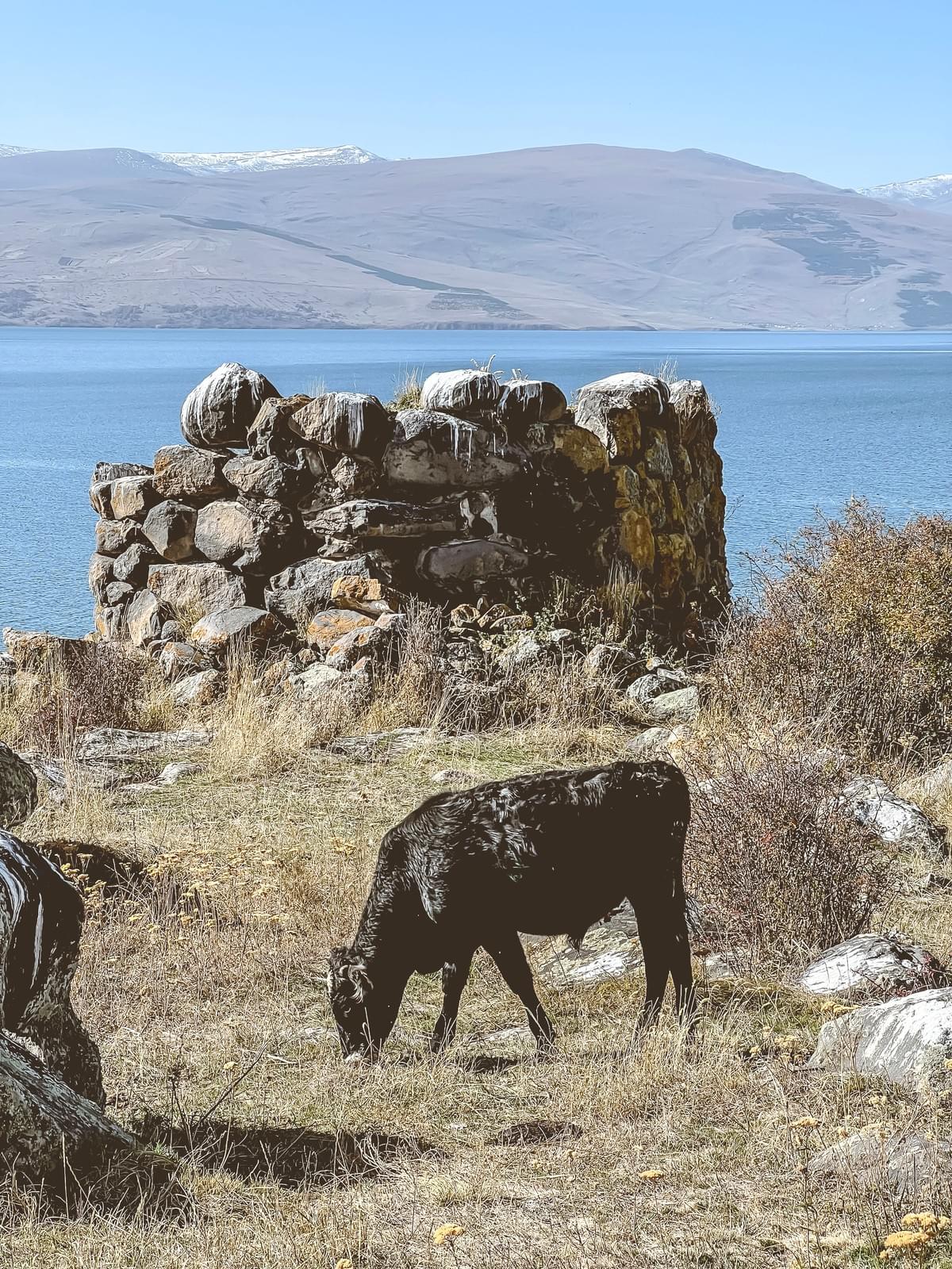 Section image