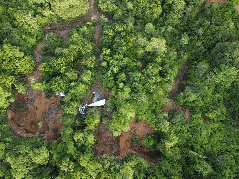Section image