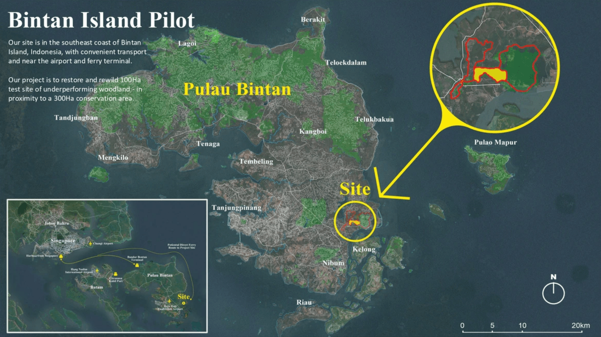 Section image
