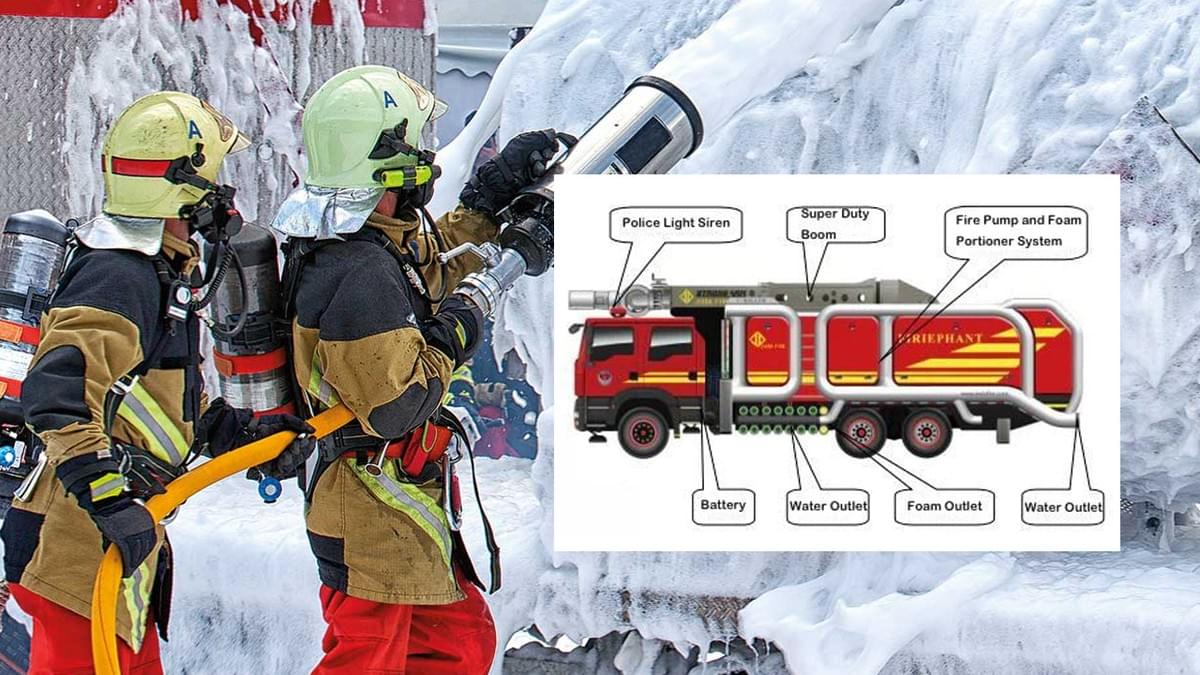 Section image
