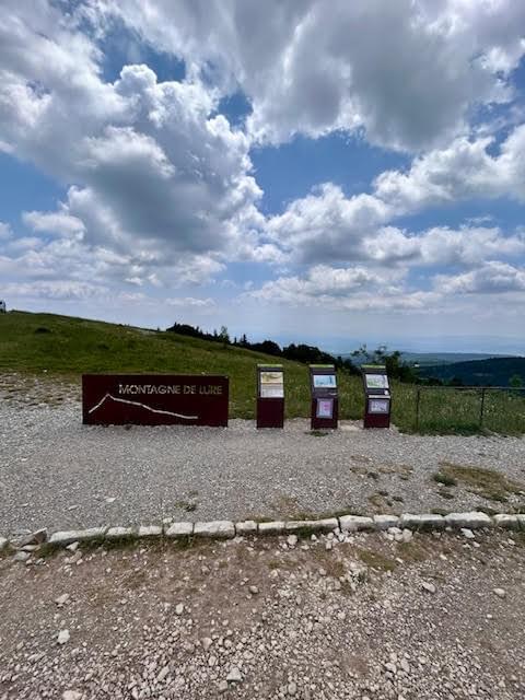 Section image