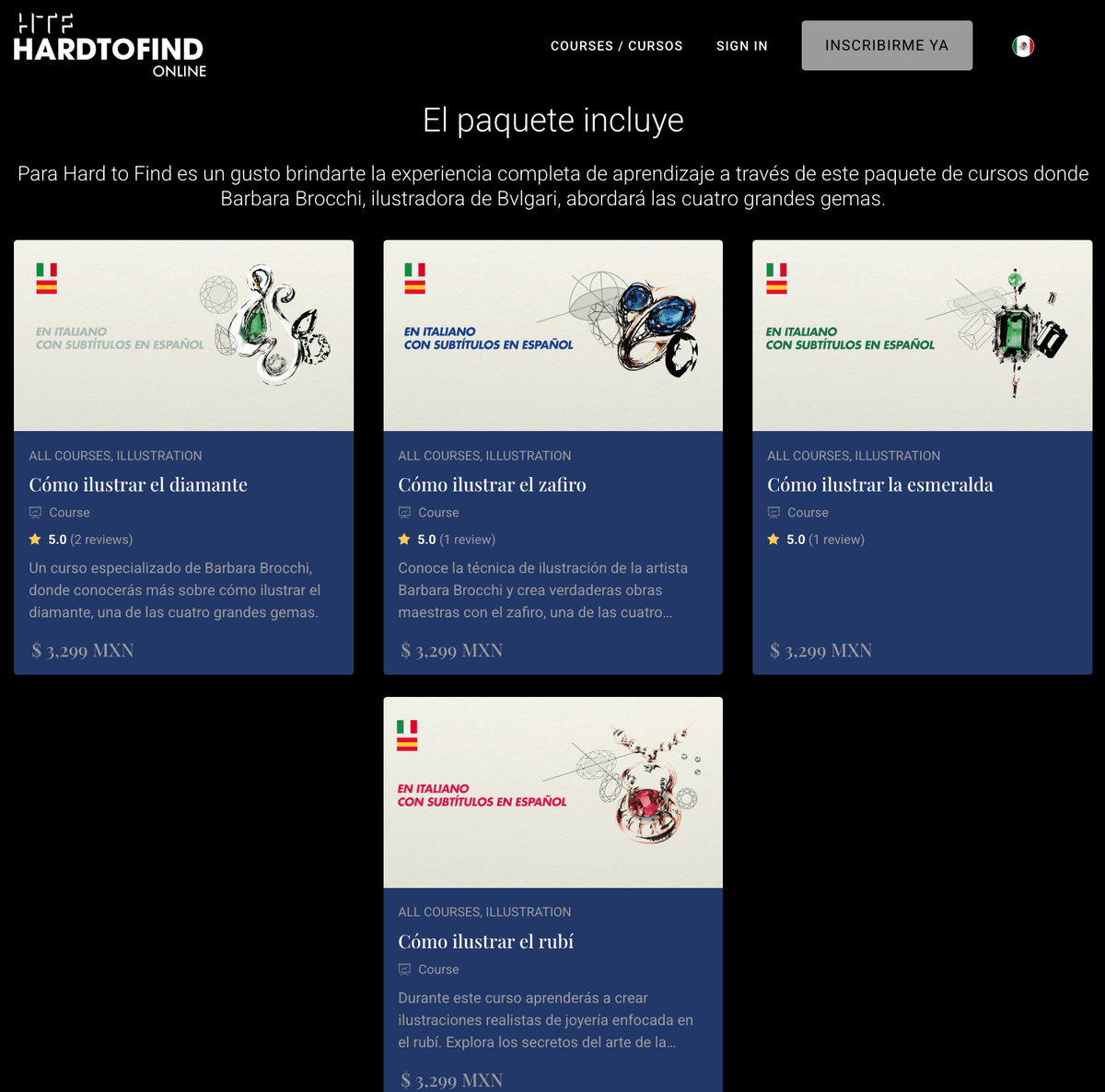 Ilustración de Joyería online