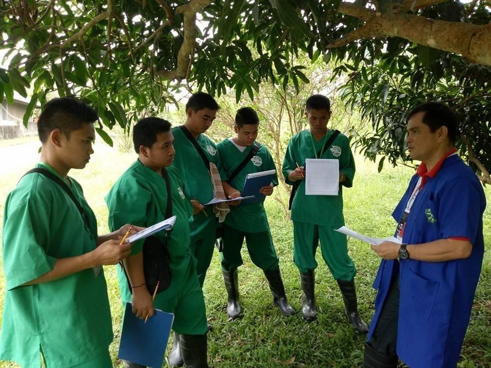 At PPAFI, we offer cutting-edge training programs designed to equip young individuals with essential agricultural skills. Our hands-on approach ensures that students not only learn the theoretical aspects of farming but also gain practical experience directly on the field. This unique blend fosters a deeper understanding of sustainable agricultural practices. Innovative Training Programs Our Mission The Pampamilyang Paaralang Agrikultura Foundation, Inc. (PPAFI) is a Philippine-based nonprofit organization dedicated to advancing agricultural education and rural development through innovative, skills-based training programs. Established in 1986, PPAFI pioneered the “Family Farm School” model in the country, blending academic learning with practical, farm-based experience to empower young individuals in rural communities. At PPAFI, we offer cutting-edge training programs designed to equip young individuals with essential agricultural skills. Our hands-on approach ensures that students not only learn the theoretical aspects of farming but also gain practical experience directly on the field. This unique blend fosters a deeper understanding of sustainable agricultural practices. Innovative Training Programs Our Mission The Pampamilyang Paaralang Agrikultura Foundation, Inc. (PPAFI) is a Philippine-based nonprofit organization dedicated to advancing agricultural education and rural development through innovative, skills-based training programs. Established in 1986, PPAFI pioneered the “Family Farm School” model in the country, blending academic learning with practical, farm-based experience to empower young individuals in rural communities.