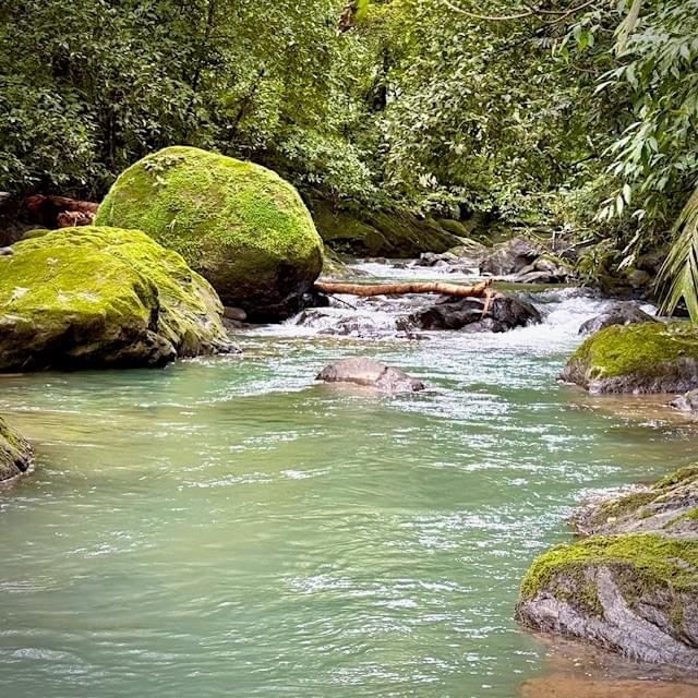 El Pavon River Costa Rica El Pavon River Costa Rica