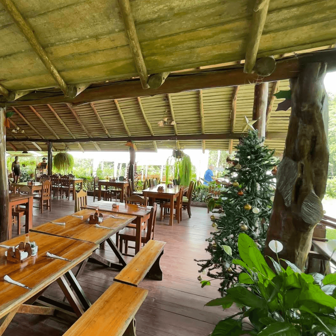 Restaurante Tilapias El Pavon, Ojochal, Costa Rica Restaurante Tilapias El Pavon, Ojochal, Costa Rica