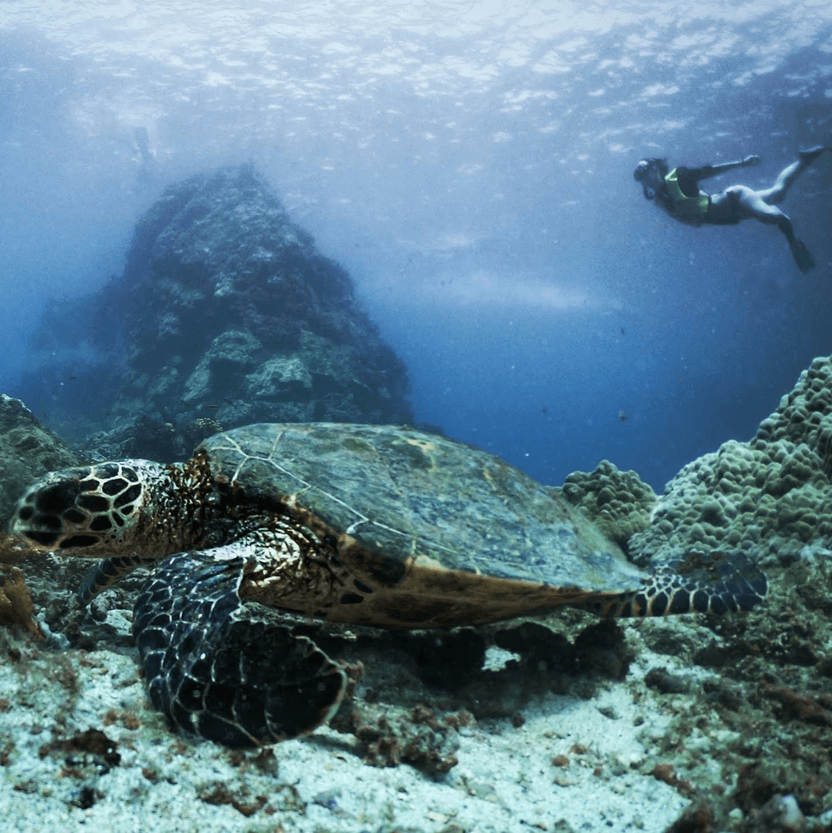 Nauyaca Waterfall Nature Park , Costa Rica Nauyaca Waterfall Nature Park , Costa Rica