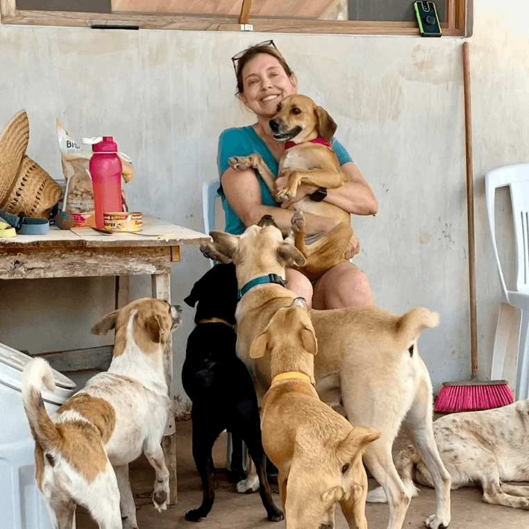 Heather with many dogs surrounding her. Heather with many dogs surrounding her.