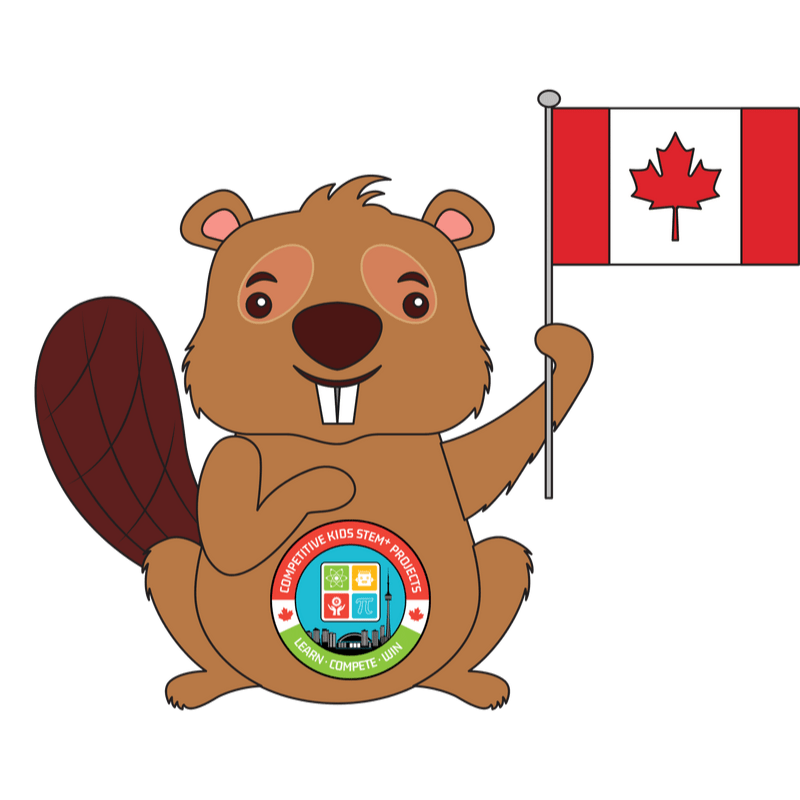 BEBRAS Computing Contest 2024 BEBRAS Computing Contest 2024