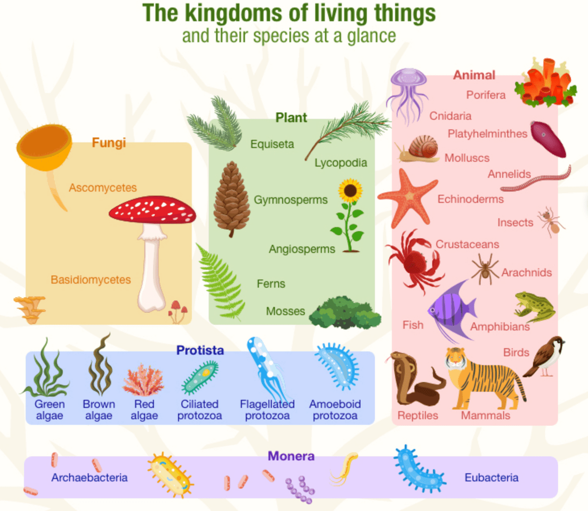 Kingdom of Life Kingdom of Life