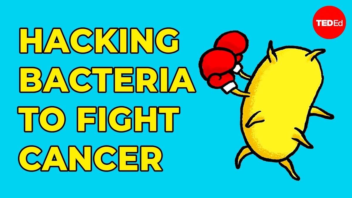 Hacking Bacteria to Fight Cancer Hacking Bacteria to Fight Cancer