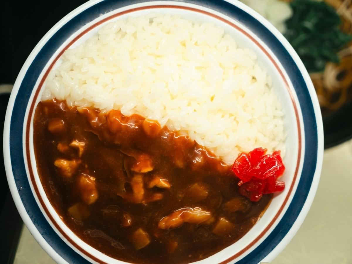 A top-down view shows a round bowl filled with Japanese curry on one side and white rice on the other, served with a small cluster of bright red pickled ginger. The bowl has a white interior with blue and reddish-brown circular borders along the rim. A top-down view shows a round bowl filled with Japanese curry on one side and white rice on the other, served with a small cluster of bright red pickled ginger. The bowl has a white interior with blue and reddish-brown circular borders along the rim.
