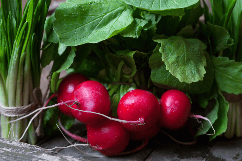 A close-up side view of a bunch of elongated spring radishes, showing their distinctive white-tipped pink gradients on a wooden table. A close-up side view of a bunch of elongated spring radishes, showing their distinctive white-tipped pink gradients on a wooden table.