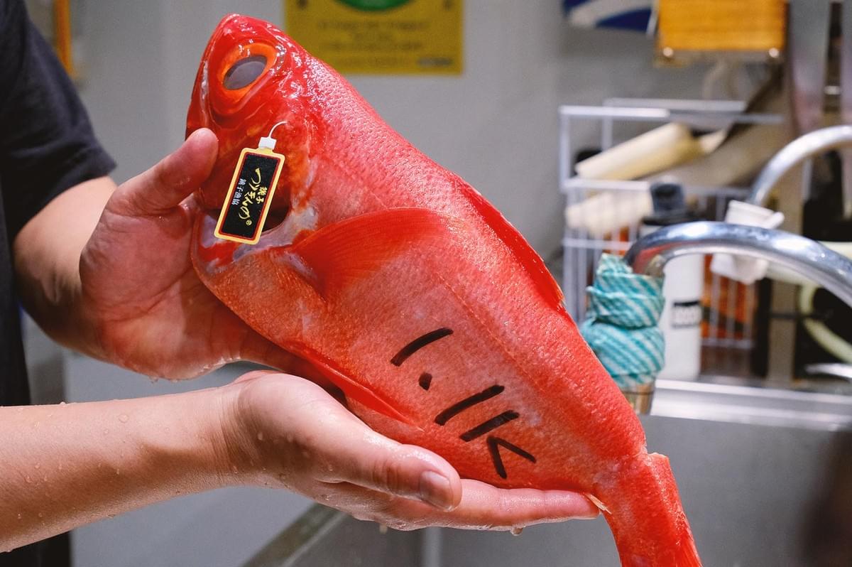 Two wet hands holding a large fresh red fish with a black tag label in japanese over the sink Two wet hands holding a large fresh red fish with a black tag label in japanese over the sink