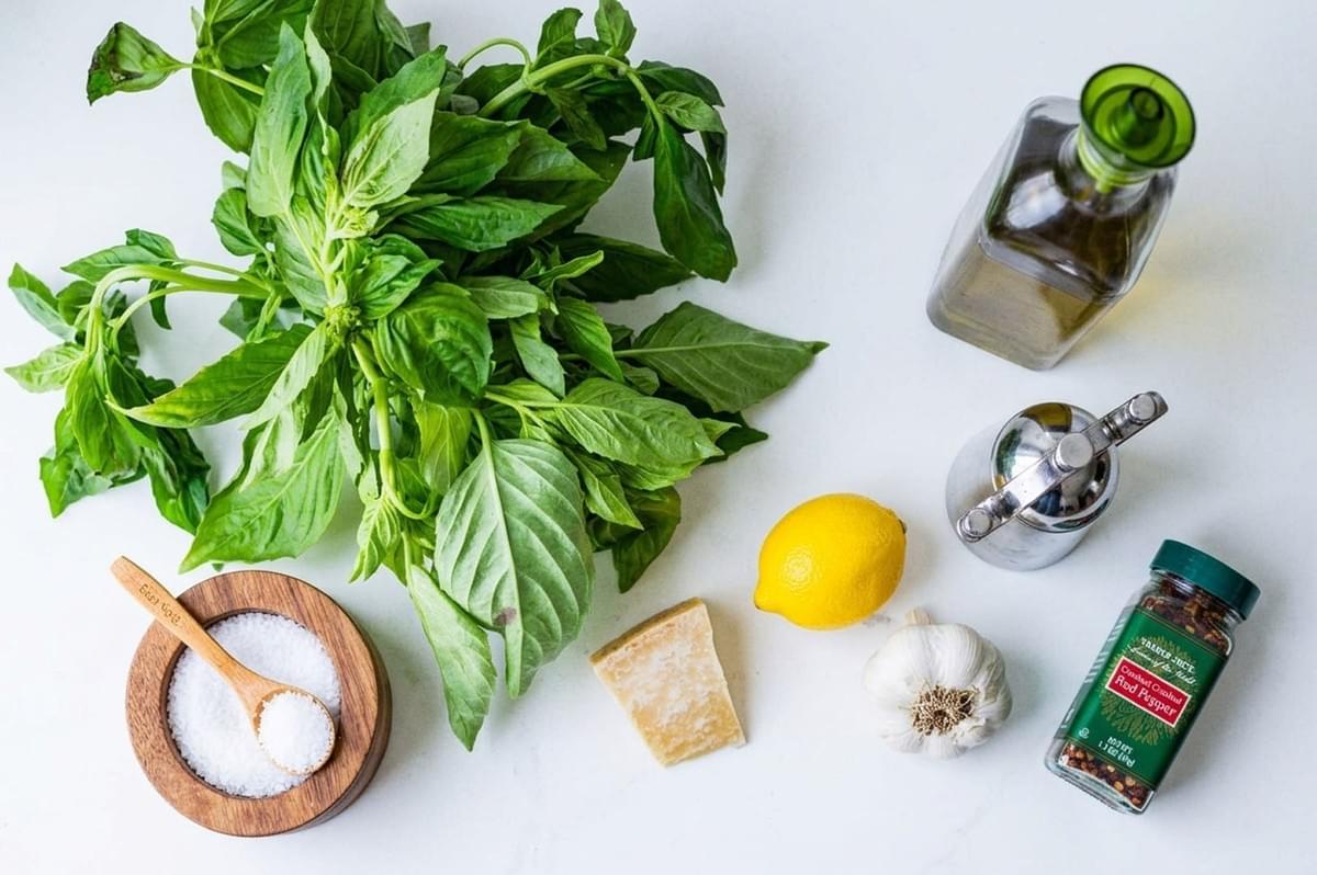 Fresh basil bunch with pesto ingredients including olive oil, lemon, garlic, parmesan cheese, and salt on white surface Fresh basil bunch with pesto ingredients including olive oil, lemon, garlic, parmesan cheese, and salt on white surface