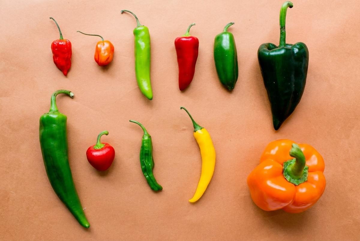 A variety of labeled chili peppers arranged on a surface showing their names and heat levels. A variety of labeled chili peppers arranged on a surface showing their names and heat levels.
