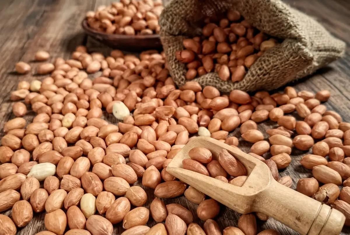Raw peanuts scattered on a wooden table, spilling from a small burlap sack with a wooden scoop. Raw peanuts scattered on a wooden table, spilling from a small burlap sack with a wooden scoop.