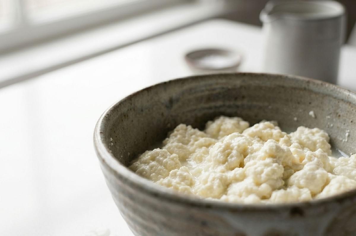 Bowl of fresh, creamy ricotta cheese curds on a white surface Bowl of fresh, creamy ricotta cheese curds on a white surface
