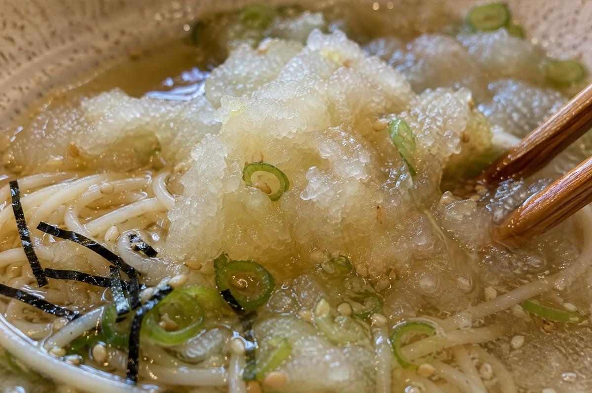 A macro close-up highlights wooden chopsticks dipping into a bowl of cold noodles topped with a dense cluster of slushy, icy grated radish, garnished with sliced green onions, sesame seeds, and delicate strips of nori. A macro close-up highlights wooden chopsticks dipping into a bowl of cold noodles topped with a dense cluster of slushy, icy grated radish, garnished with sliced green onions, sesame seeds, and delicate strips of nori.