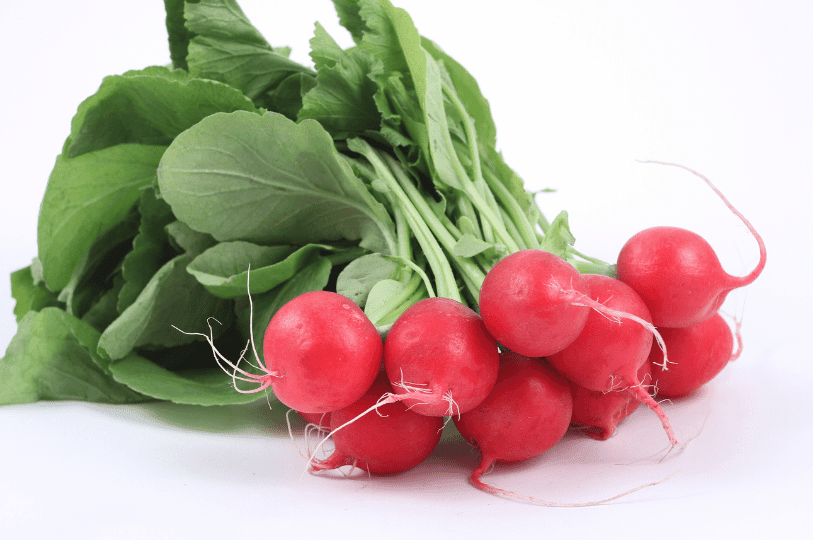 A clean studio shot of a bunch of bright red spring radishes with lush green leaves isolated against a solid white background. A clean studio shot of a bunch of bright red spring radishes with lush green leaves isolated against a solid white background.