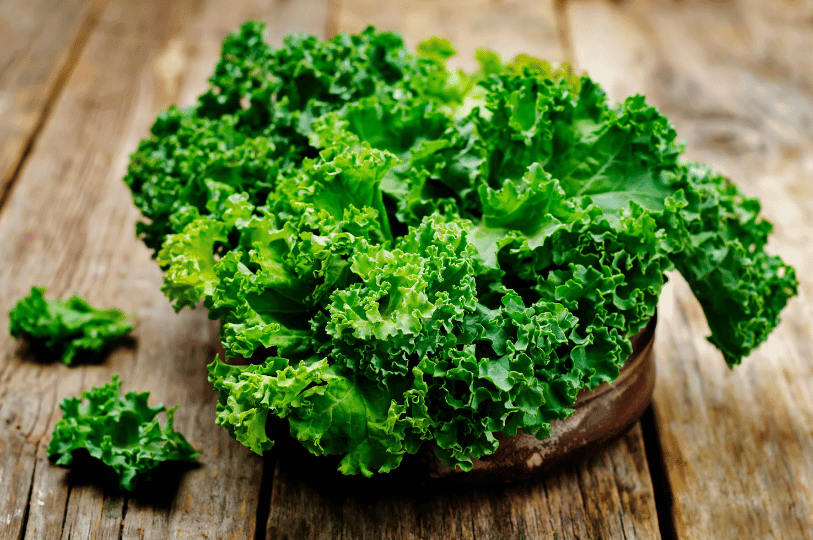 A bunch of vibrant, curly green kale sitting on a rustic wooden table, showcasing its fresh, ruffled texture. A bunch of vibrant, curly green kale sitting on a rustic wooden table, showcasing its fresh, ruffled texture.