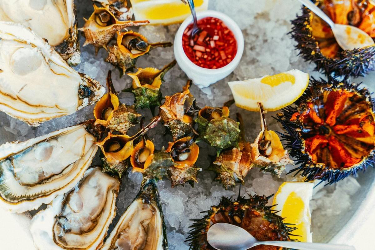 A top-down view shows a seafood platter featuring raw oysters, sea urchins, and small sea snails arranged on crushed ice. Accompanying the seafood are fresh lemon wedges and a small dish of red mignonette sauce with spoons ready for serving. A top-down view shows a seafood platter featuring raw oysters, sea urchins, and small sea snails arranged on crushed ice. Accompanying the seafood are fresh lemon wedges and a small dish of red mignonette sauce with spoons ready for serving.