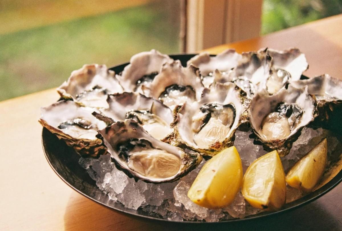 A black platter filled with crushed ice holds fresh oysters on the half shell alongside bright lemon wedges. The dish rests on a wooden table near a window, bathed in soft, natural light. A black platter filled with crushed ice holds fresh oysters on the half shell alongside bright lemon wedges. The dish rests on a wooden table near a window, bathed in soft, natural light.