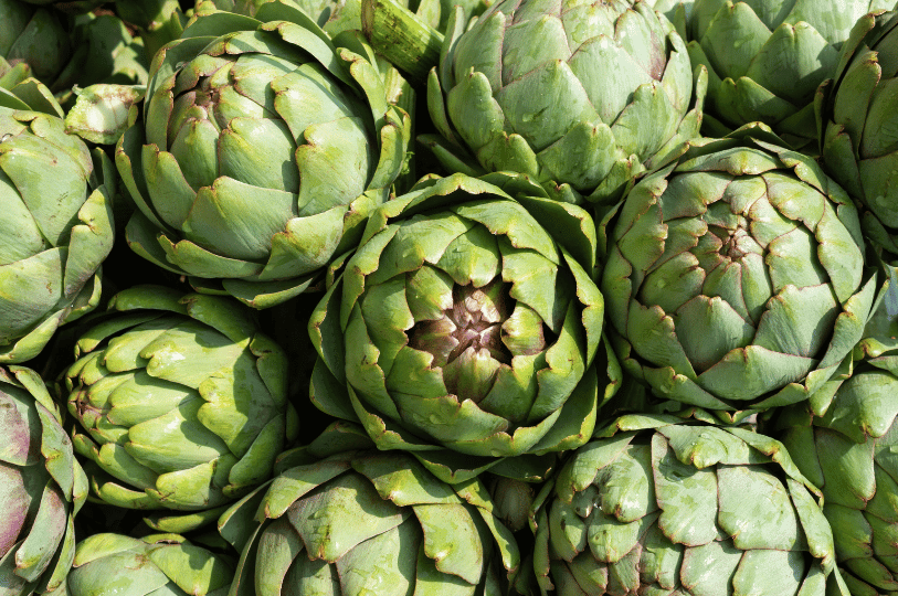 A close-up, top-down view of several tightly packed, fresh green globe artichokes, showing their dense outer bracts and subtle purple tinges at the tips. A close-up, top-down view of several tightly packed, fresh green globe artichokes, showing their dense outer bracts and subtle purple tinges at the tips.