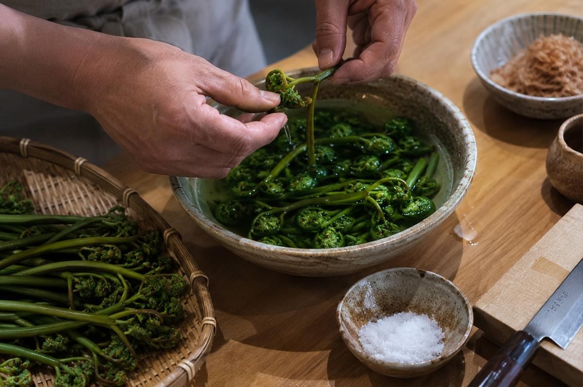 A pair of hands carefully cleans fresh green fern fiddleheads in a bowl of water on a wooden kitchen counter. Next to the bowl sits a bamboo basket piled high with more raw fiddleheads, a small ceramic dish containing a mound of coarse sea salt, and a sharp Japanese chef's knife resting on a wooden cutting board. The image focuses on the precise and gentle handling of seasonal wild vegetables before they are prepared for cooking. A pair of hands carefully cleans fresh green fern fiddleheads in a bowl of water on a wooden kitchen counter. Next to the bowl sits a bamboo basket piled high with more raw fiddleheads, a small ceramic dish containing a mound of coarse sea salt, and a sharp Japanese chef's knife resting on a wooden cutting board. The image focuses on the precise and gentle handling of seasonal wild vegetables before they are prepared for cooking.