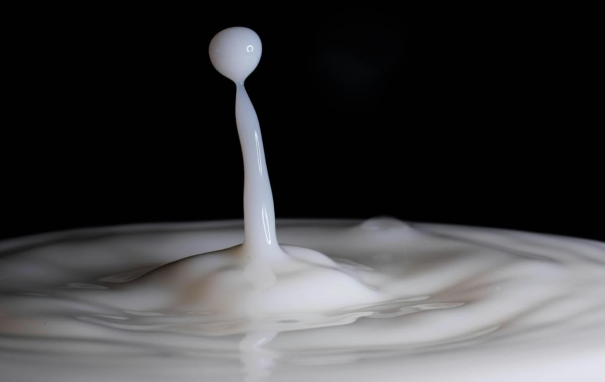 A high-speed macro photograph captures a column of white liquid, such as milk, rebounding upward with a single rounded droplet balanced atop its peak. Soft ripples spread across the liquid surface below, set against a stark, solid black background. A high-speed macro photograph captures a column of white liquid, such as milk, rebounding upward with a single rounded droplet balanced atop its peak. Soft ripples spread across the liquid surface below, set against a stark, solid black background.
