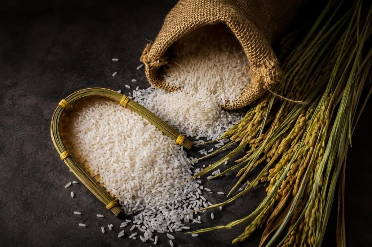 Raw white rice spilling from a burlap sack alongside dried rice stalks. Raw white rice spilling from a burlap sack alongside dried rice stalks.