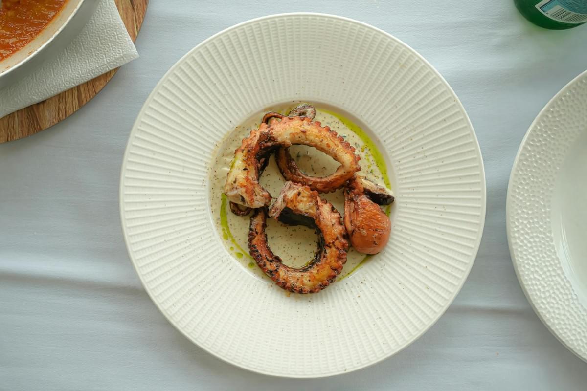 A top-down view shows a white, textured plate containing grilled octopus tentacles arranged in the center. The tentacles rest on a light-colored creamy sauce drizzled with green oil and sprinkled with black pepper. A top-down view shows a white, textured plate containing grilled octopus tentacles arranged in the center. The tentacles rest on a light-colored creamy sauce drizzled with green oil and sprinkled with black pepper.
