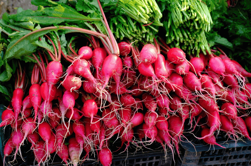 A bakery display case featuring rows of cannoli with diverse toppings, including candied red and green cherries, sliced almonds, and plain ricotta cream. A bakery display case featuring rows of cannoli with diverse toppings, including candied red and green cherries, sliced almonds, and plain ricotta cream.
