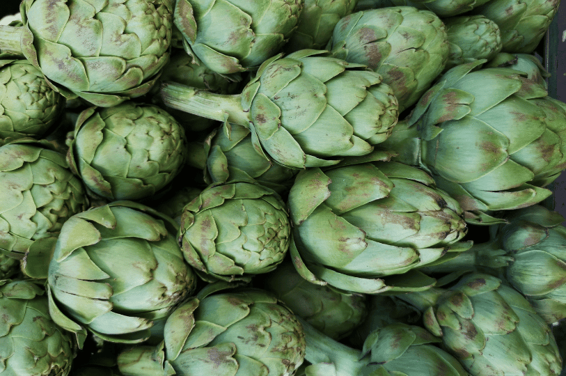 A high-angle shot of a pile of raw, un-trimmed globe artichokes at a market, featuring bright green colors and small brown "frost kisses" on some outer leaves. A high-angle shot of a pile of raw, un-trimmed globe artichokes at a market, featuring bright green colors and small brown "frost kisses" on some outer leaves.
