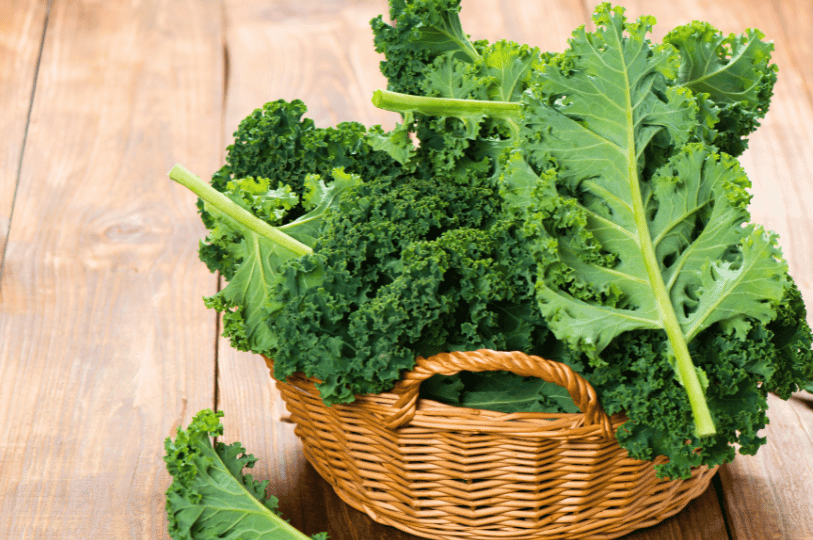 Several large, hardy kale leaves with thick stems overflowing from a woven wicker basket set against a wooden background. Several large, hardy kale leaves with thick stems overflowing from a woven wicker basket set against a wooden background.