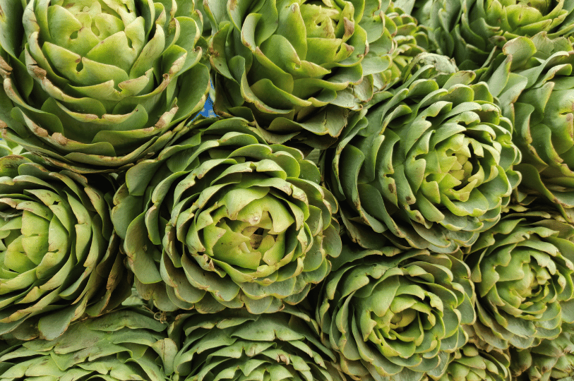 A dense, overlapping cluster of artichokes viewed from the top, emphasizing the geometric pattern of the overlapping scales and vibrant spring-green hues. A dense, overlapping cluster of artichokes viewed from the top, emphasizing the geometric pattern of the overlapping scales and vibrant spring-green hues.
