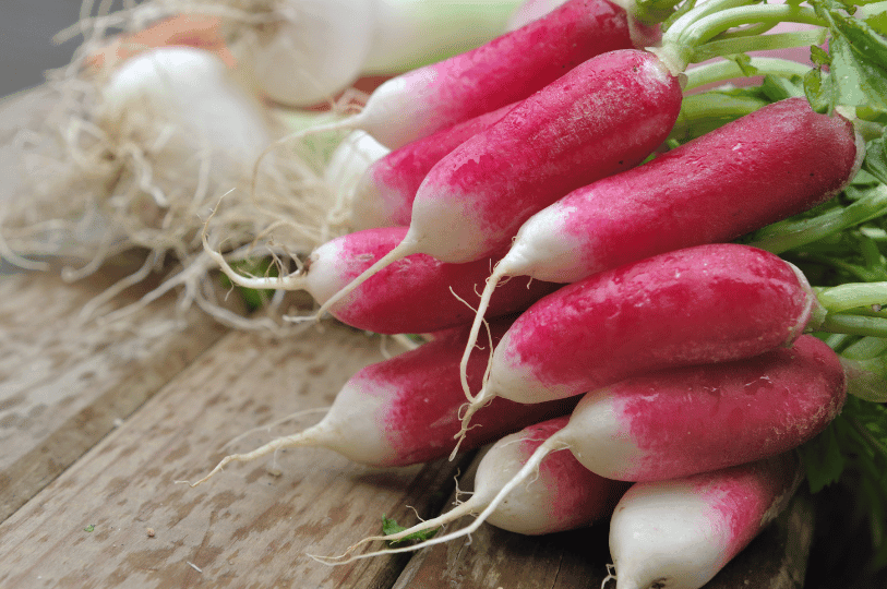 A close-up side view of a bunch of elongated spring radishes, showing their distinctive white-tipped pink gradients on a wooden table. A close-up side view of a bunch of elongated spring radishes, showing their distinctive white-tipped pink gradients on a wooden table.