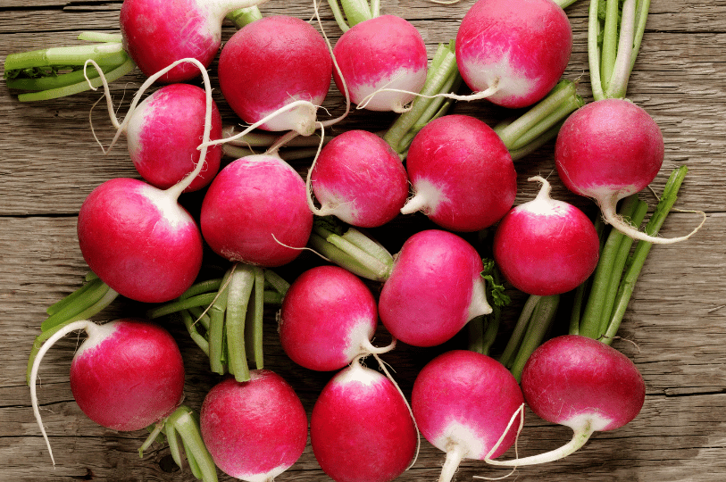 A top-down overhead view of several vibrant red globe spring radishes with fresh green stems scattered on a rustic grey wooden surface. A top-down overhead view of several vibrant red globe spring radishes with fresh green stems scattered on a rustic grey wooden surface.