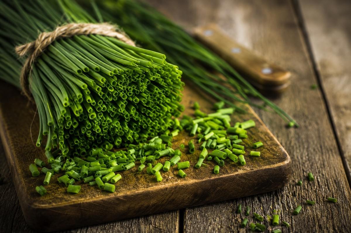 A large bundle of fresh chives tied with twine next to chopped chives scattered on a rustic wooden board. A large bundle of fresh chives tied with twine next to chopped chives scattered on a rustic wooden board.