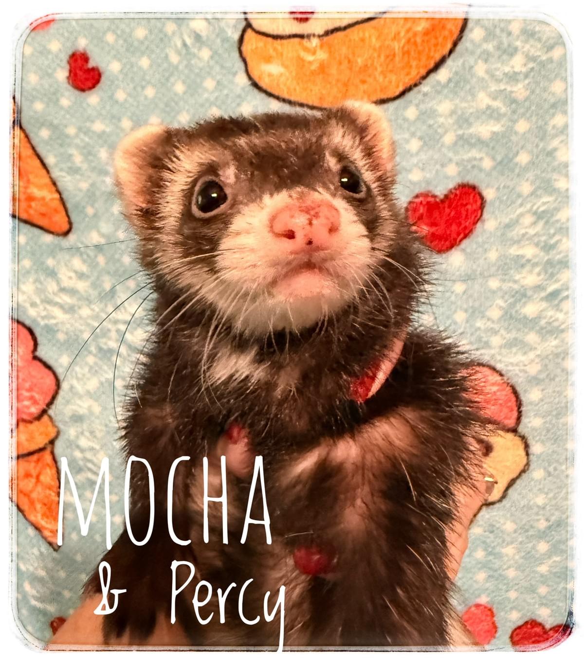 Section image