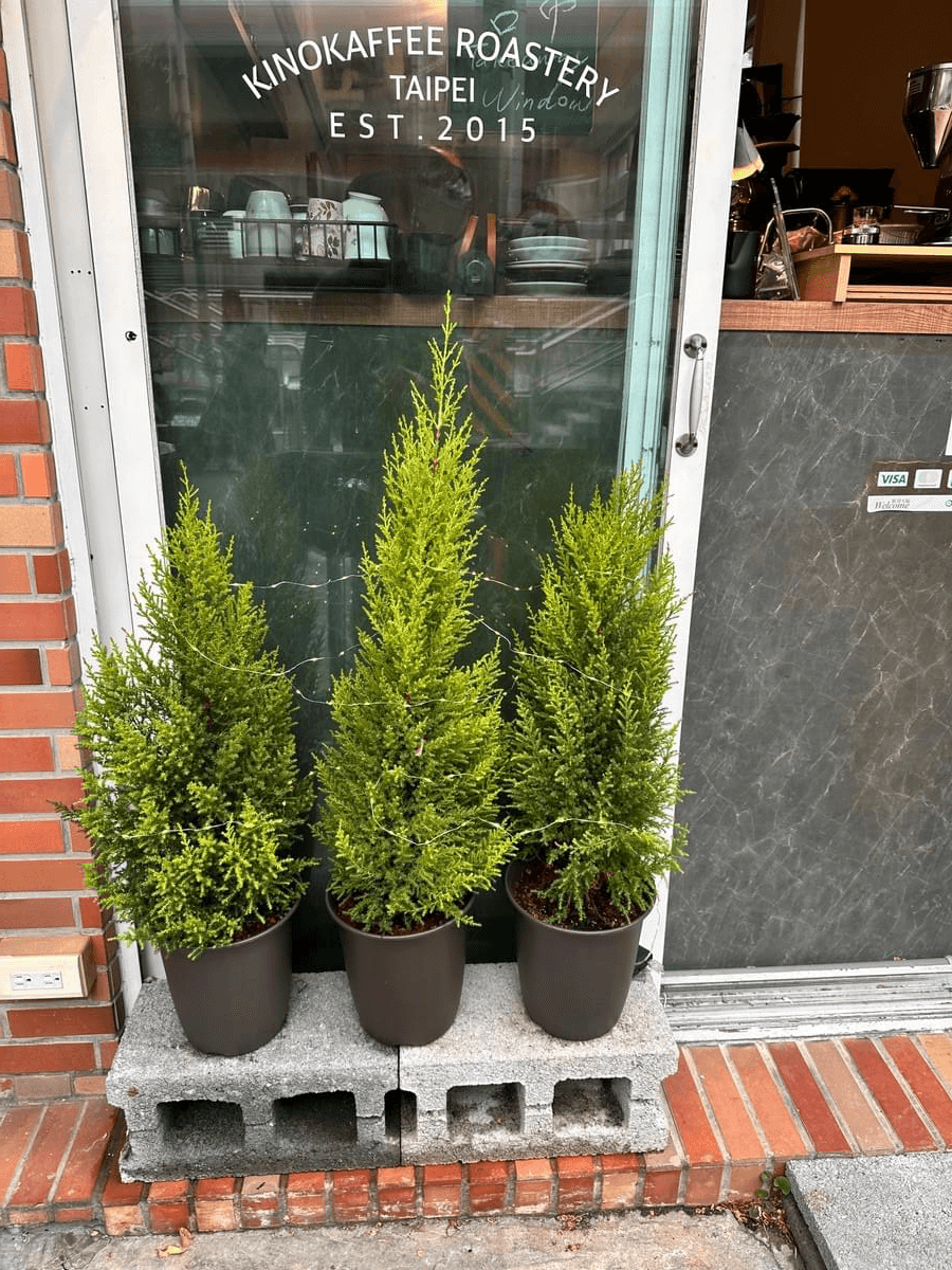 We provide professional entrepreneurship consulting services, assisting you in opening your own coffee shop, from site selection to equipment configuration, we can provide support. entrepreneurship guidance Our service Professional exquisite coffee expert, selling coffee beans, hand-brewed coffee drinks, coffee peripheral equipment, and assisting in starting a business and opening a store and other services. Won the favor of coffee tasters at home and abroad.