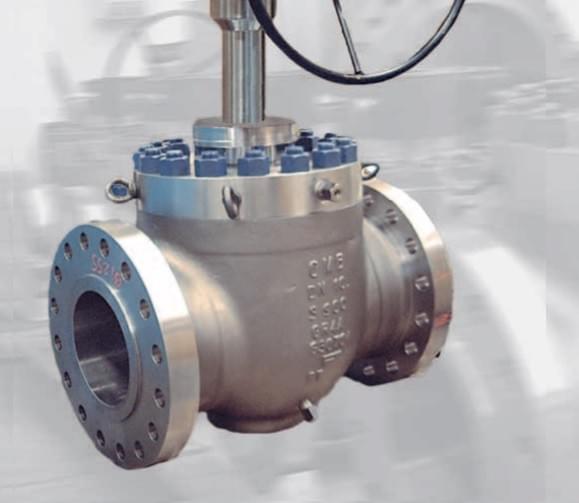 OMB Cryogenic Valve CR-BTE OMB Cryogenic Valve CR-BTE