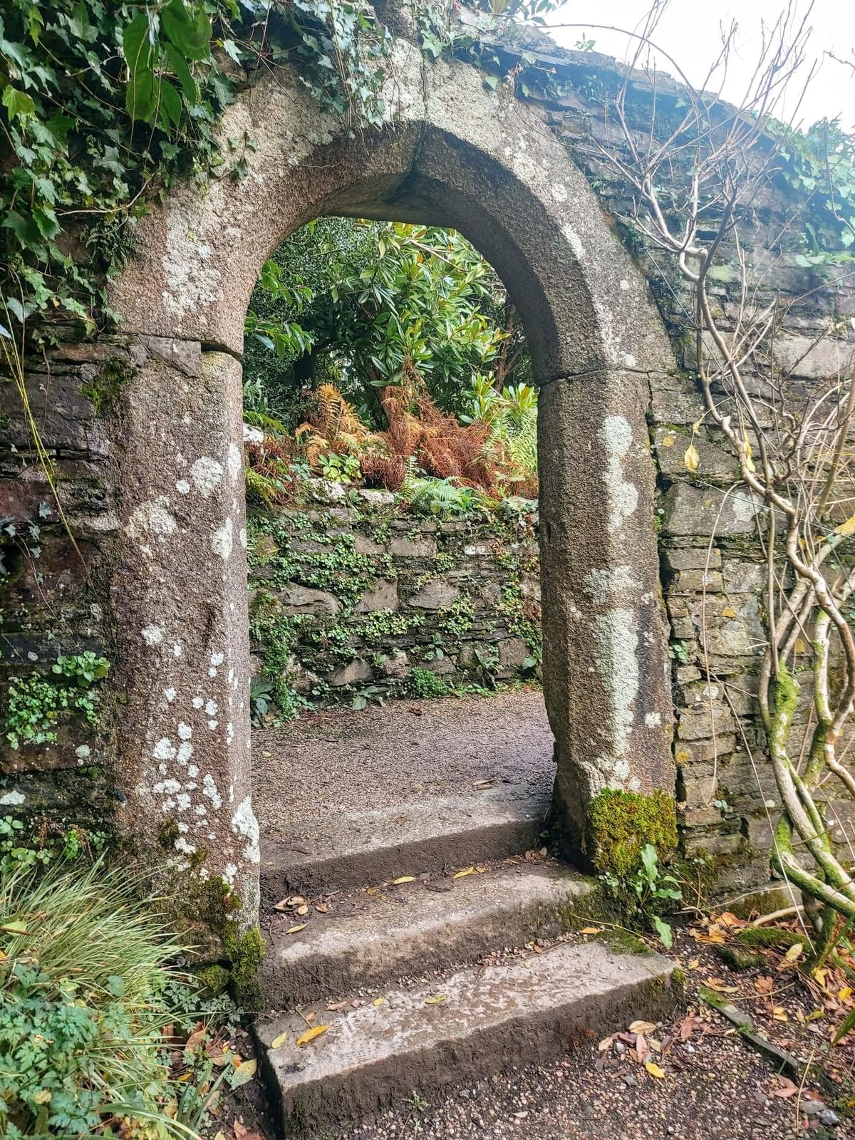 Delve into the art of crafting narratives that resonate deeply, connecting past, present, and future through imaginative storytelling. Story Weaving What I Offer I am a story seer, liminal chantress, and weaver of realms. Delve into the art of crafting narratives that resonate deeply, connecting past, present, and future through imaginative storytelling. Story Weaving What I Offer I am a story seer, liminal chantress, and weaver of realms.