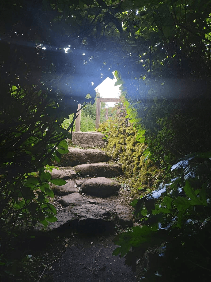 Engage with ancient traditions of chant that invoke healing and connection, facilitating deep inner work and empowerment. Chanting Rituals What I Offer I am a story seer, liminal chantress, and weaver of realms. Engage with ancient traditions of chant that invoke healing and connection, facilitating deep inner work and empowerment. Chanting Rituals What I Offer I am a story seer, liminal chantress, and weaver of realms.