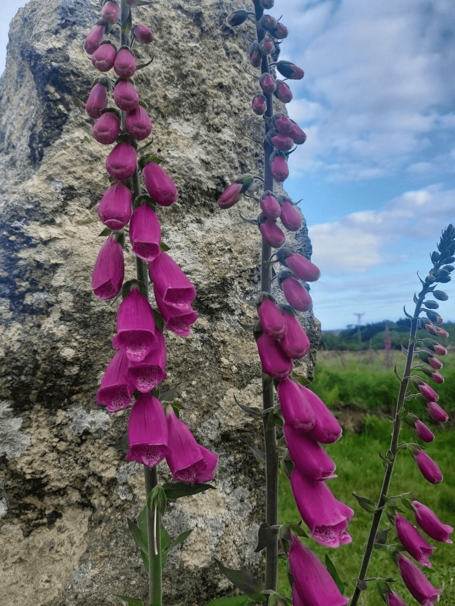 Experience the power of liminal spaces where transformation occurs, guiding you through the threshold of possibility. Liminal Spaces What I Offer I am a story seer, liminal chantress, and weaver of realms. Experience the power of liminal spaces where transformation occurs, guiding you through the threshold of possibility. Liminal Spaces What I Offer I am a story seer, liminal chantress, and weaver of realms.