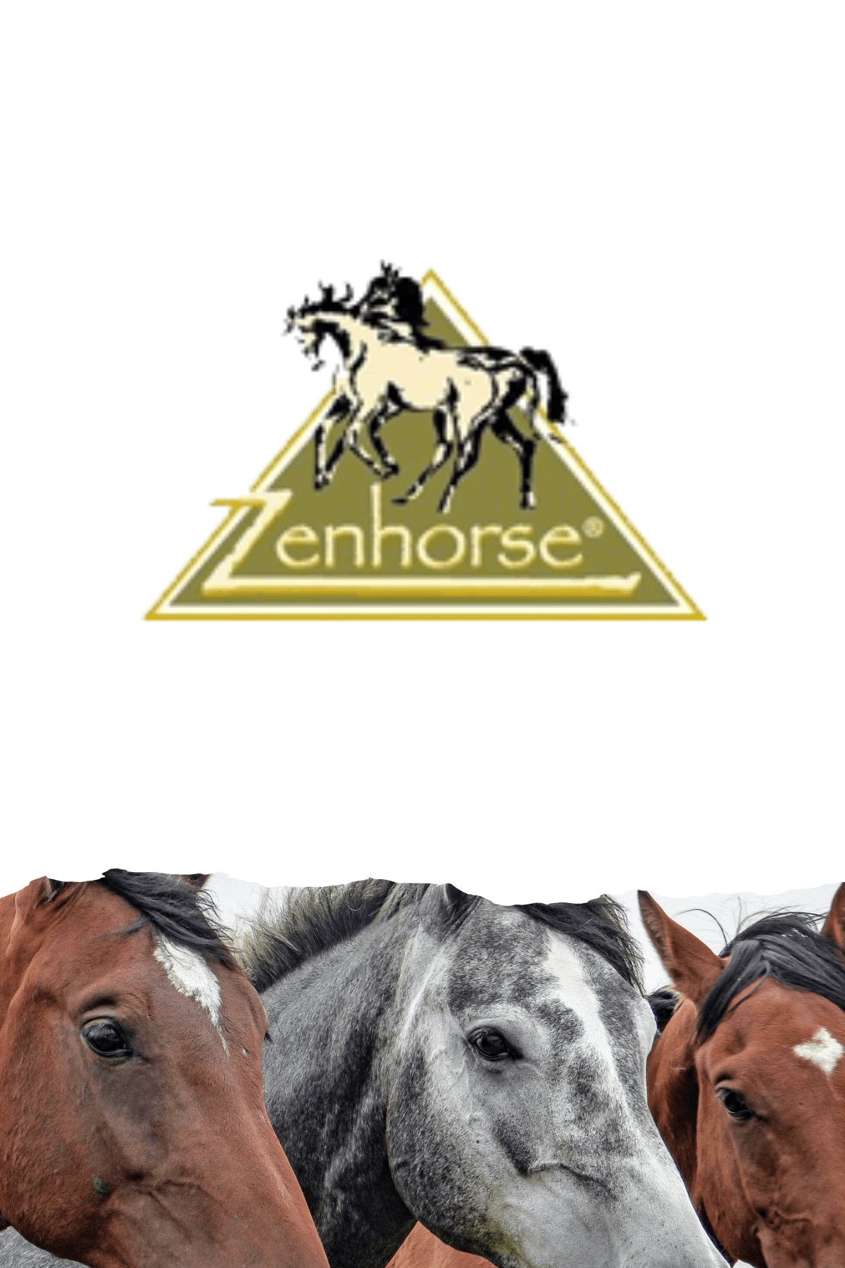 Logo Zen Horse Logistique E-commerce Logo Zen Horse Logistique E-commerce