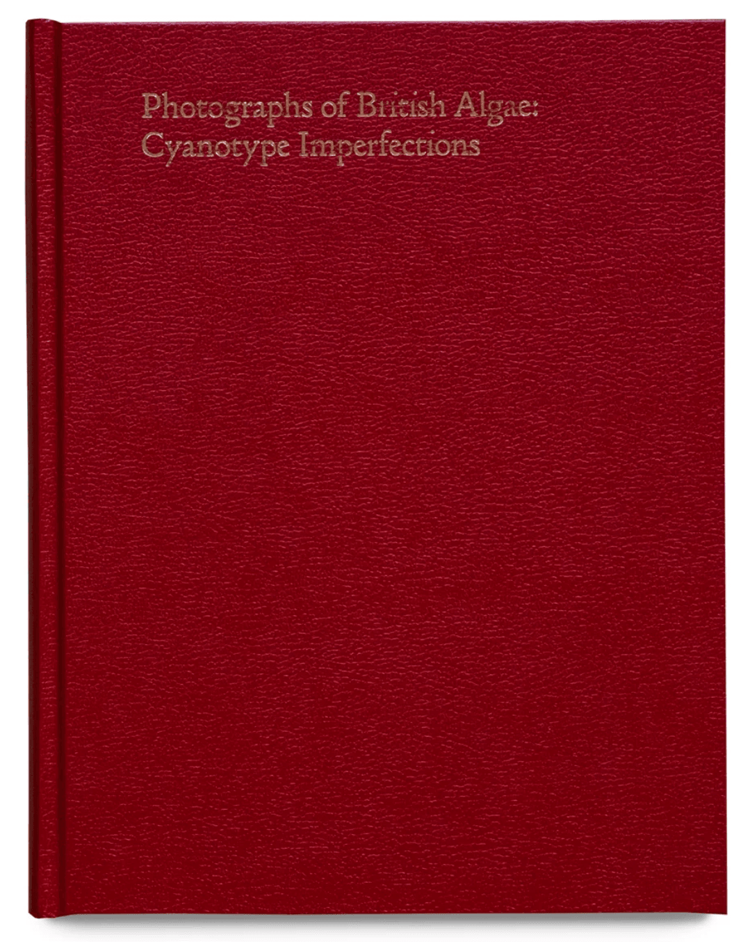 Section image