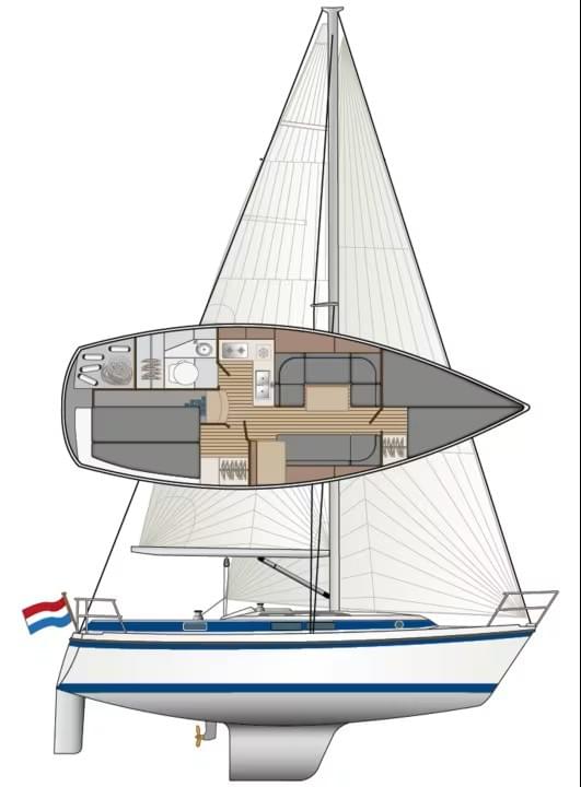 Section image