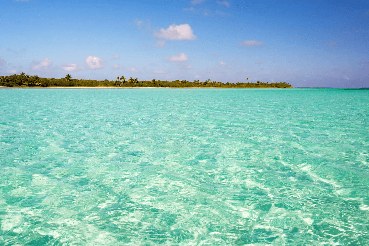 Your travel plans should work for you. That’s why we offer flexible itineraries that can be adjusted to your preferences. Whether you want a leisurely pace or an action-packed day, our local guides are here to tailor your adventure to your desires. Flexible Adventures What We Do GuidedByLocals connects travelers directly with real local guides, not agencies.
Every tour is organized and led by passionate locals who know their region inside out.
Core message: “Real local guides. Real stories. No middlemen.”
Tone: warm, personal, trustworthy, inspiring — similar to Airbnb Experiences or Secretoo.com.
Design style: bright, natural, authentic travel photos (local faces, nature, small groups).
Target audience: English-speaking travelers (US, UK, Australia, Canada) looking for unique, authentic experiences in Mexico.
The site should look human and experiential, not corporate.
1. homepage with cover photo, what they will get (fair price for eveyrone, small group, authentic, flexible), how it works ? Tesmonies / .1. contact us with. 2 get the price, deposit to book the guide, enjoy your excursion
2. page as a menu : Visit of chichen Itza, Sian Kaan boat tour, Visite tulum and swim with turtle
3. Who are we ?
4. Contact us. Your travel plans should work for you. That’s why we offer flexible itineraries that can be adjusted to your preferences. Whether you want a leisurely pace or an action-packed day, our local guides are here to tailor your adventure to your desires. Flexible Adventures What We Do GuidedByLocals connects travelers directly with real local guides, not agencies.
Every tour is organized and led by passionate locals who know their region inside out.
Core message: “Real local guides. Real stories. No middlemen.”
Tone: warm, personal, trustworthy, inspiring — similar to Airbnb Experiences or Secretoo.com.
Design style: bright, natural, authentic travel photos (local faces, nature, small groups).
Target audience: English-speaking travelers (US, UK, Australia, Canada) looking for unique, authentic experiences in Mexico.
The site should look human and experiential, not corporate.
1. homepage with cover photo, what they will get (fair price for eveyrone, small group, authentic, flexible), how it works ? Tesmonies / .1. contact us with. 2 get the price, deposit to book the guide, enjoy your excursion
2. page as a menu : Visit of chichen Itza, Sian Kaan boat tour, Visite tulum and swim with turtle
3. Who are we ?
4. Contact us.