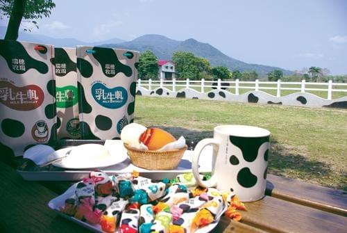 Participate in various cultural activities, deeply experience the characteristics and customs of Ruishui. cultural experience activity The services we provide Introduction to the local real estate, cultural landscape, travel itinerary, food shops, and other information in Ruifeng.
